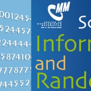 School on Information and Randomness 2010