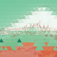 School on Information and Randomness 2014