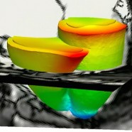 Workshop: Modeling in Biomedicine