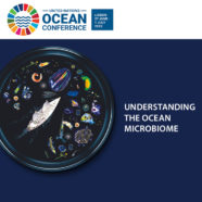 Understanding the ocean microbiome