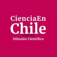 Ciencia En Chile: Nuevo Ingeniero Civil Matemático de la UdeC desarrolló memoria sobre un modelo en procesos de desalinización