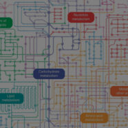 Workshop Metabolic Club 2