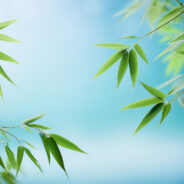 Workshop PANDA in Santiago 2025