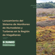 Lanzamiento del sistema Monitoreo de Humedales y Turberas en la Región de Magallanes