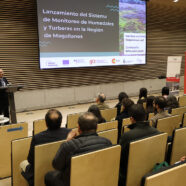 CMM launches pioneering system to protect wetlands and peatlands in Magallanes