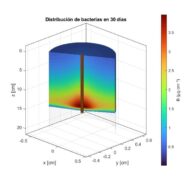 With support from the CMM: Panamanian researcher models bacterial growth for applications in rice cultivation