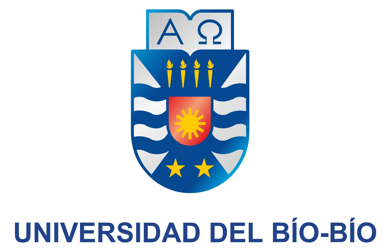 Métodos numéricos de alto orden impulsan estadía de doctorante de la UBB en España